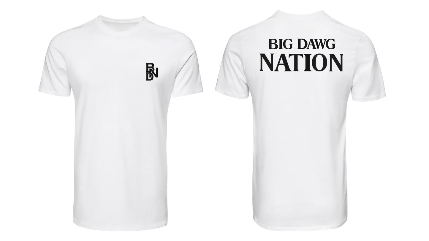 BDN V.2